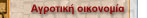 o4.jpg